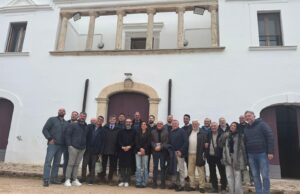 Gargano, l’agricoltura chiama: fronte comune contro la Xylella