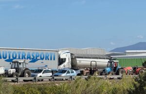 Crisi agricola, il Gargano si mobilita: il Comitato chiama a raccolta frantoi e attività commerciali
