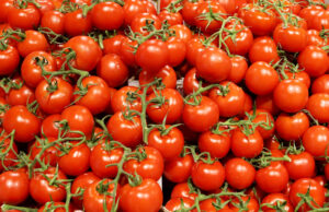 Focolai di salmonellosi in Puglia, stop precauzionale ai pomodori crudi nelle mense della Capitanata