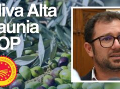 OLIVA ALTA DAUNIA PERANZANA È UFFICIALMENTE DOP: UN RICONOSCIMENTO STORICO PER TORREMAGGIORE E IL NOSTRO TERRITORIO!