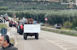 Il Cda dell’Asp Zaccagnino e la sua tecnostruttura esprimono piena solidarietà agli agricoltori e ai autotrasportatori che stanno manifestando in questi giorni.